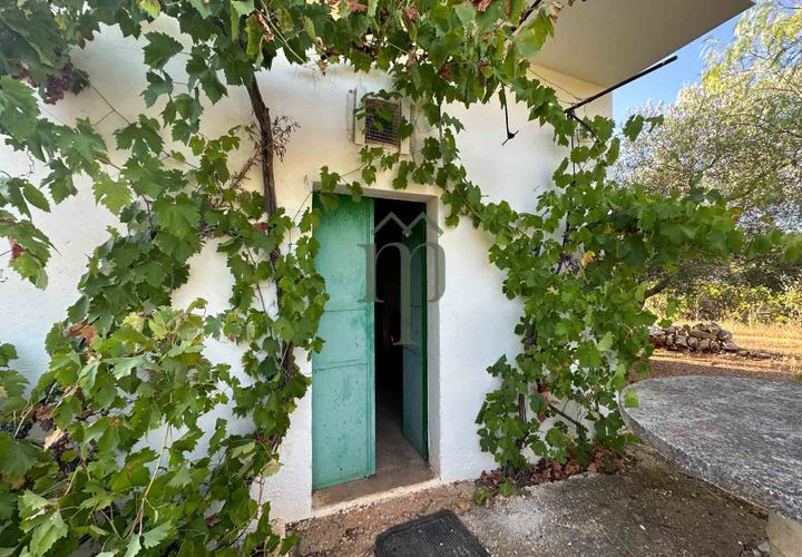 Ruïna a Ostuni, Brindisi, Ostuni - € 43.000 | Ref: Lamia Vite - foto 1